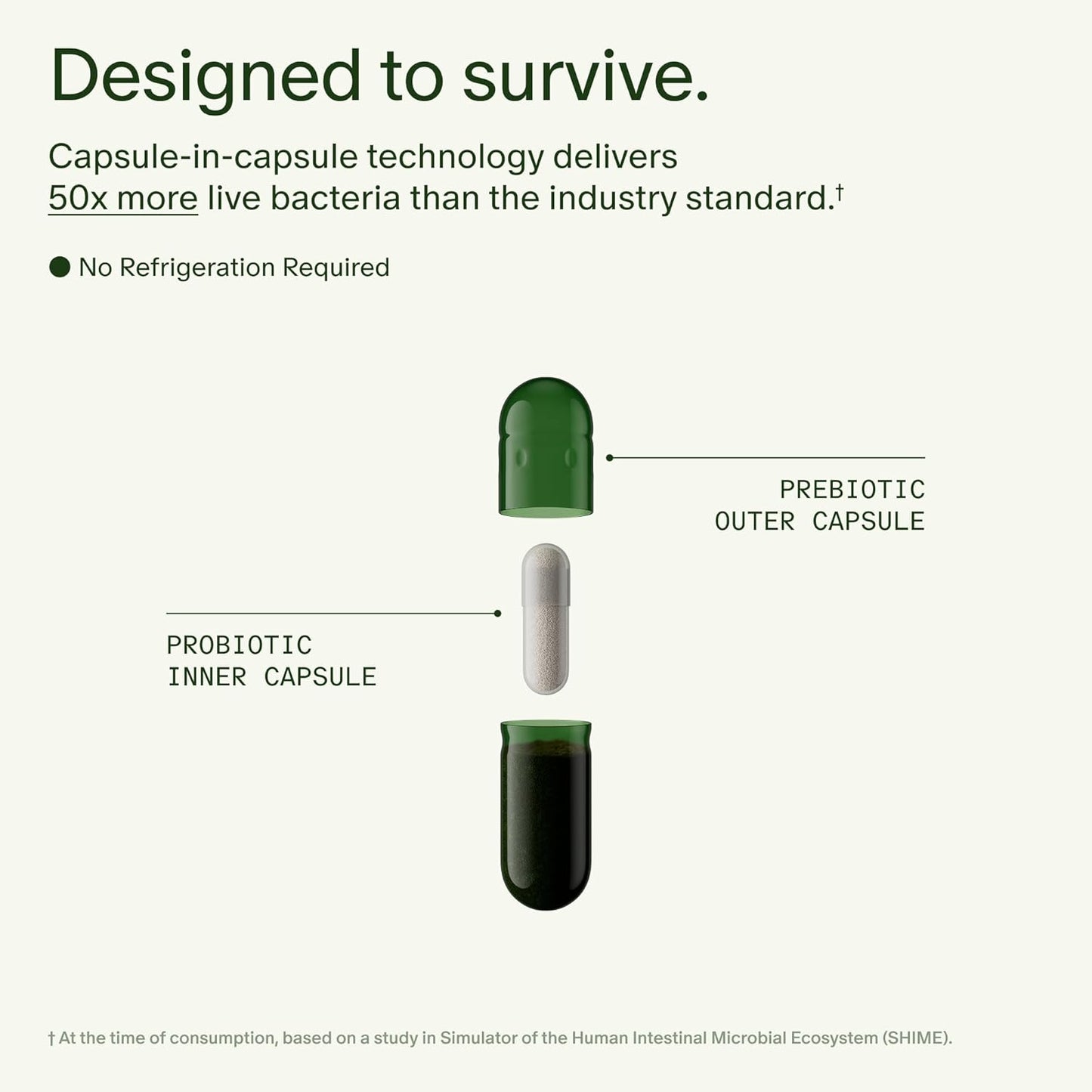 Seed DS-01 Daily Synbiotic 60 Capsules 30-Day Supply